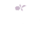 Ballota